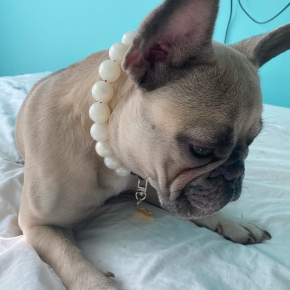 Handcrafted Beaded Dog Collar - The Pearl - Rainbow Pearl White Acrylic Beads - Picture 3 of 13